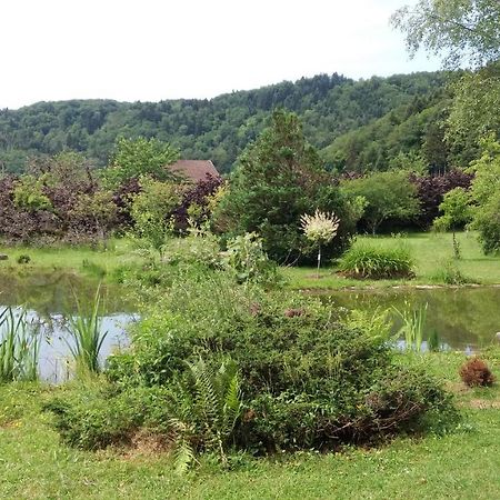 Faucogney-et-la-Mer Pied Des Milles Etang - Les Capucins Bed & Breakfast エクステリア 写真