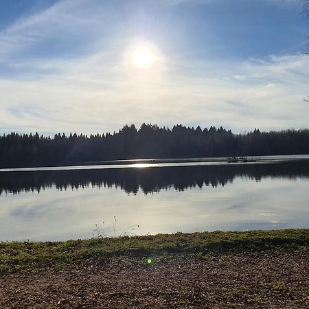 Faucogney-et-la-Mer Pied Des Milles Etang - Les Capucins Bed & Breakfast エクステリア 写真