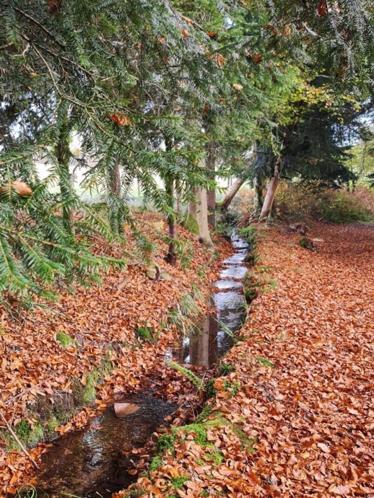Faucogney-et-la-Mer Pied Des Milles Etang - Les Capucins Bed & Breakfast エクステリア 写真