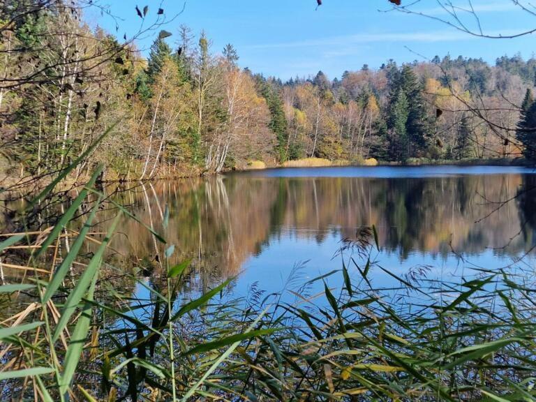 Faucogney-et-la-Mer Pied Des Milles Etang - Les Capucins Bed & Breakfast エクステリア 写真
