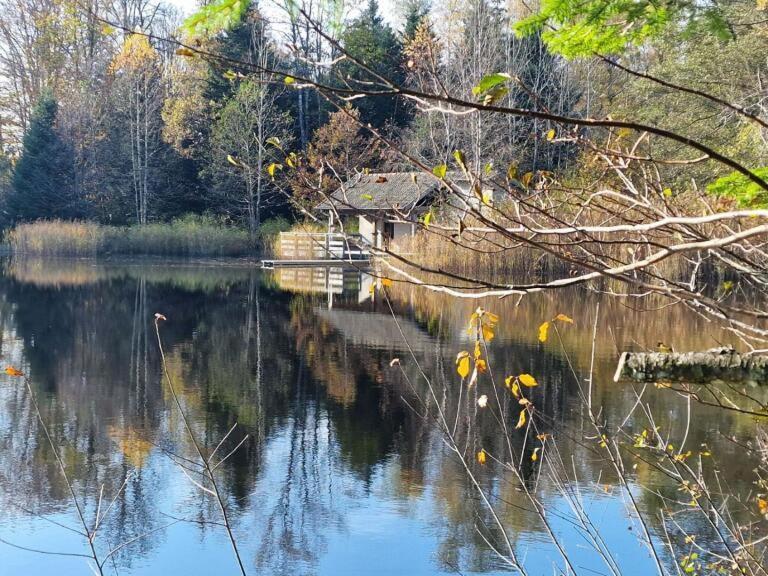 Faucogney-et-la-Mer Pied Des Milles Etang - Les Capucins Bed & Breakfast エクステリア 写真
